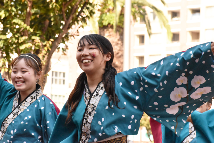 よさこい衣装・祭り衣装　　島根県立大学よさこい橙蘭様 