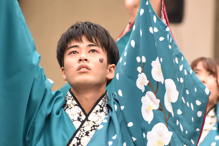 よさこい衣装・祭り衣装　　島根県立大学よさこい橙蘭様 