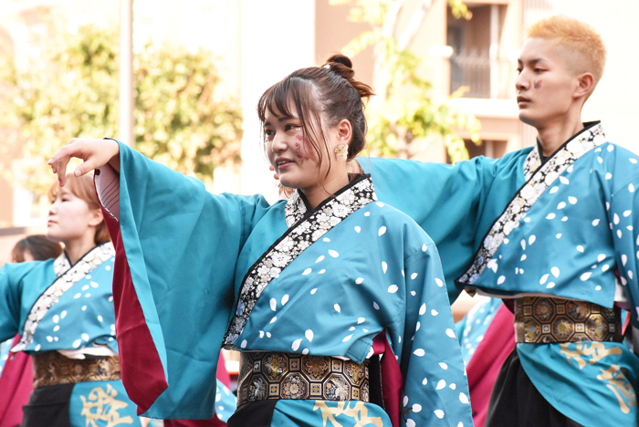 よさこい衣装・祭り衣装　　島根県立大学よさこい橙蘭様 