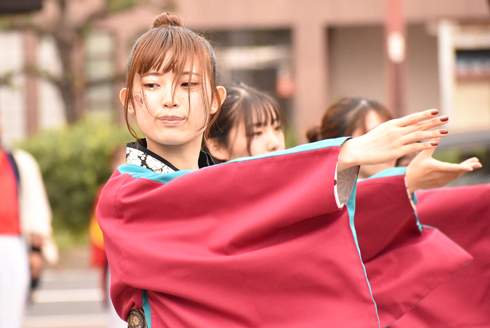 よさこい衣装・祭り衣装　　島根県立大学よさこい橙蘭様 