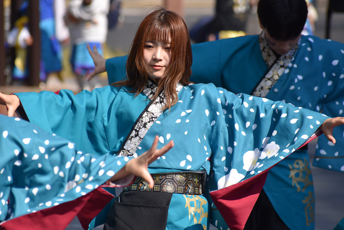 よさこい衣装・祭り衣装　　島根県立大学よさこい橙蘭様 