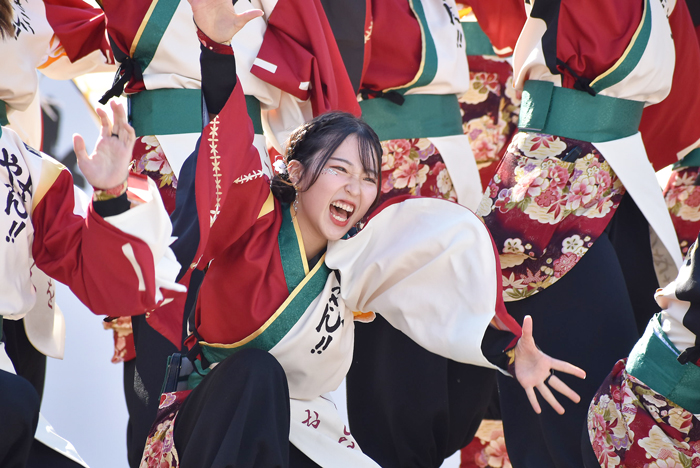 よさこい衣装・祭り衣装　　山口大学よさこいやっさん‼様 