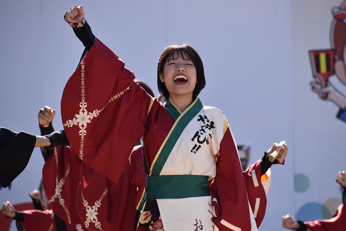 よさこい衣装・祭り衣装　　山口大学よさこいやっさん‼様 