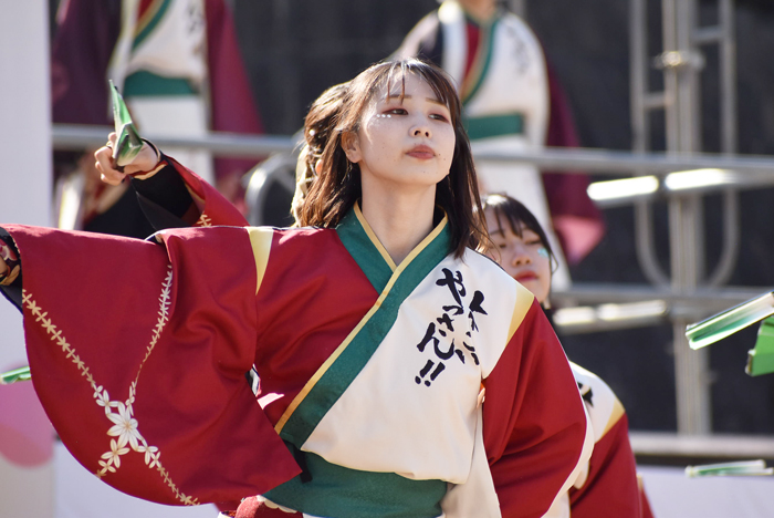 よさこい衣装・祭り衣装　　山口大学よさこいやっさん‼様 