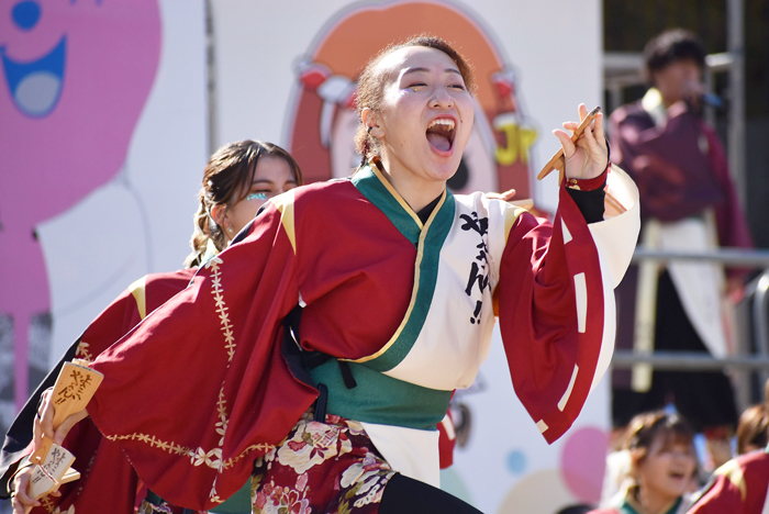 よさこい衣装・祭り衣装　　山口大学よさこいやっさん‼様 