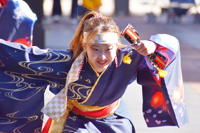 よさこい衣装・祭り衣装　　あばれん様 