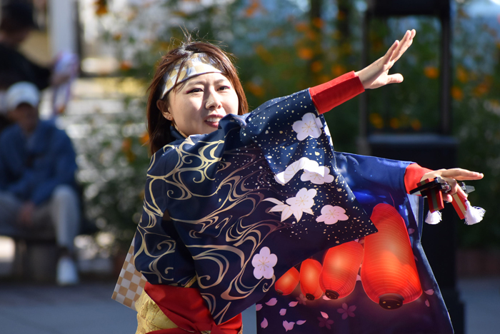 よさこい衣装・祭り衣装　　あばれん様 