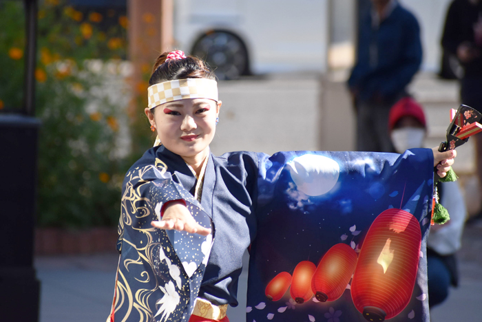 よさこい衣装・祭り衣装　　あばれん様 