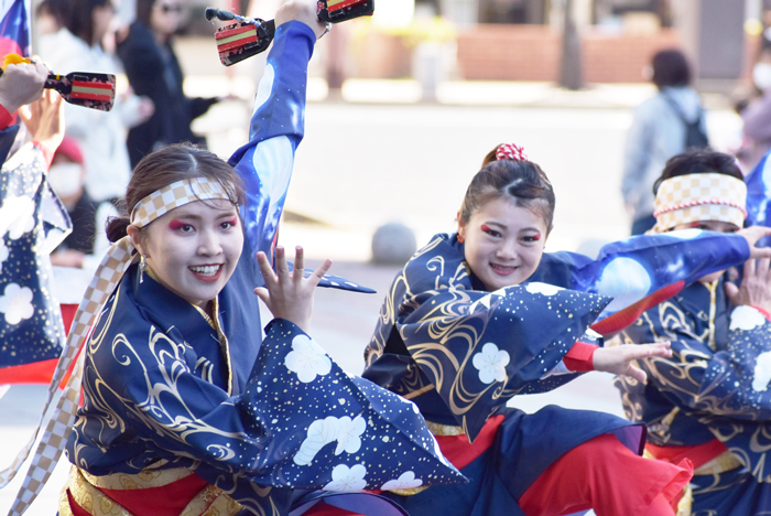 よさこい衣装・祭り衣装　　あばれん様 
