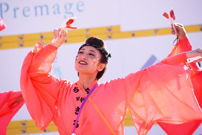 よさこい衣装・祭り衣装　　ちゃきる様 