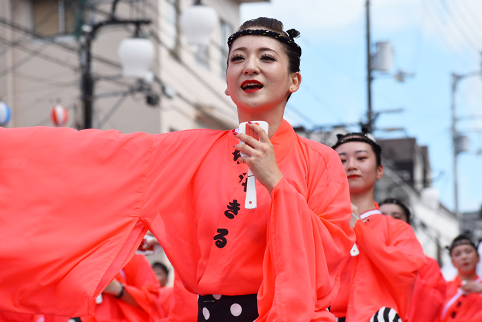 よさこい衣装・祭り衣装　　ちゃきる様 