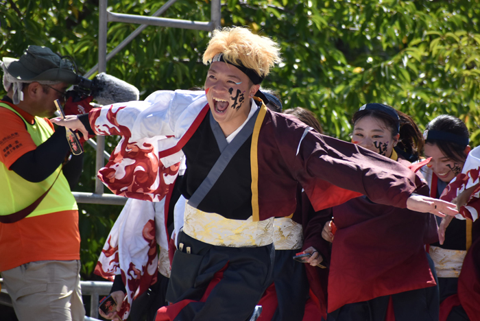 よさこい衣装・祭り衣装　　香川大学よさこい連風華様 