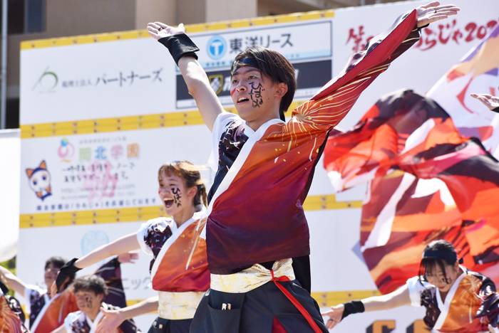 よさこい衣装・祭り衣装　　香川大学よさこい連風華様 