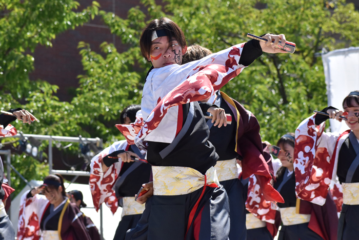 よさこい衣装・祭り衣装　　香川大学よさこい連風華様 