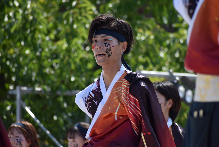 よさこい衣装・祭り衣装　　香川大学よさこい連風華様 