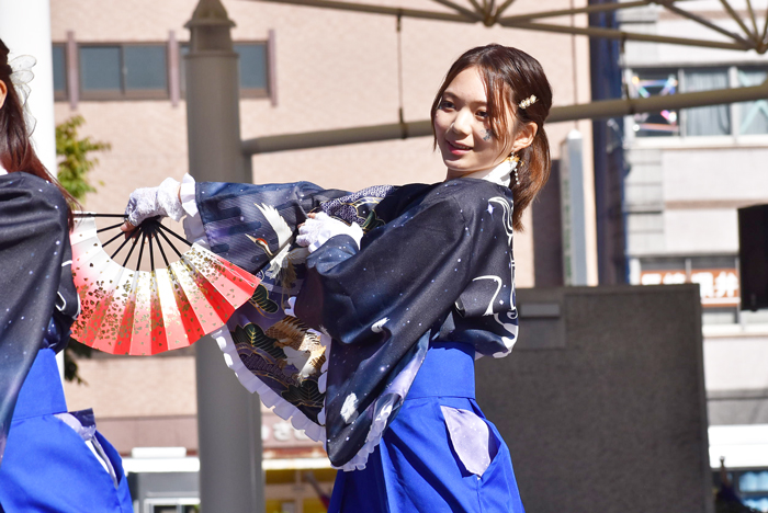 よさこい衣装・祭り衣装　　山口県立大学よさこい部奄美連合萩組様 