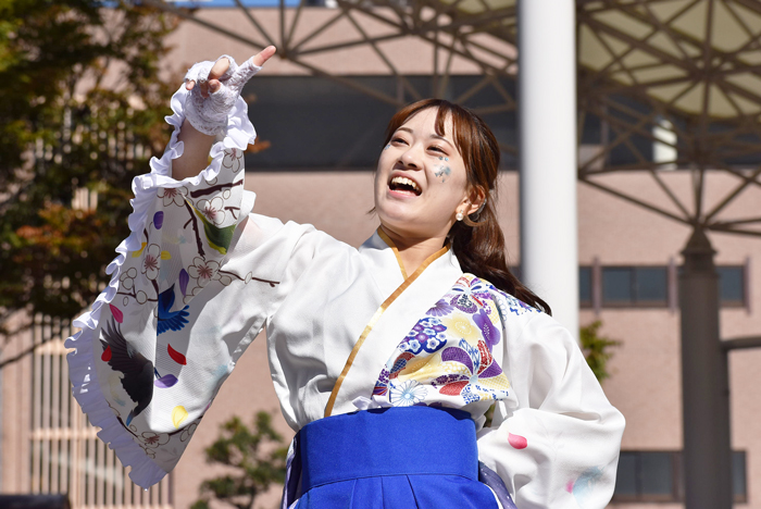 よさこい衣装・祭り衣装　　山口県立大学よさこい部奄美連合萩組様 