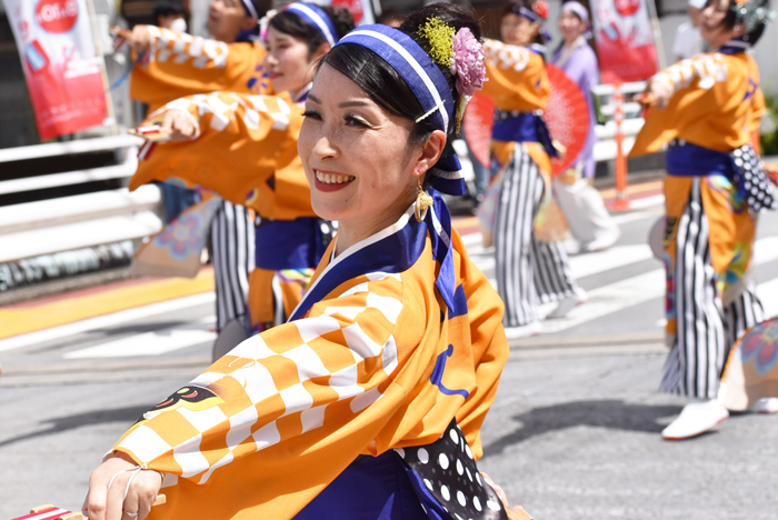 よさこい衣装・祭り衣装　　いよさこい！！華魅様 