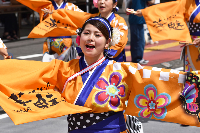 よさこい衣装・祭り衣装　　いよさこい！！華魅様 