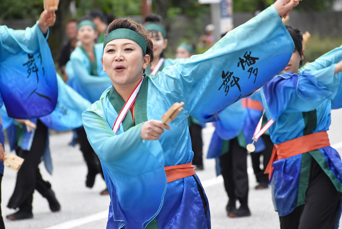 よさこい衣装・祭り衣装　　幡多舞人様 