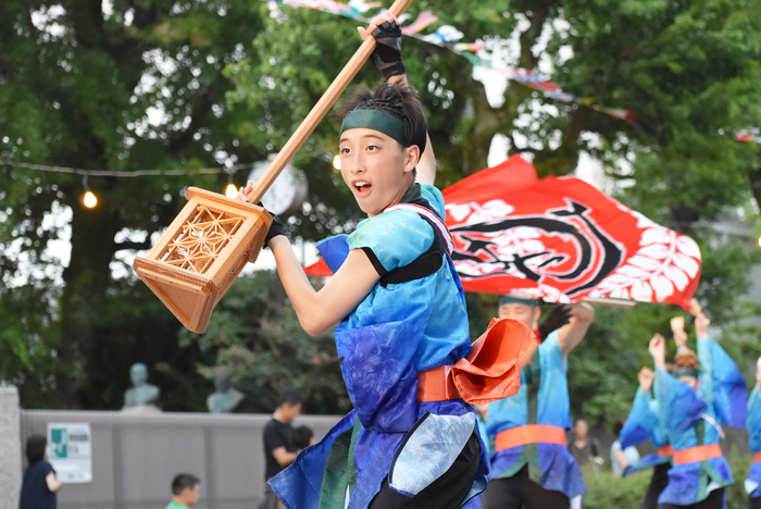 よさこい衣装・祭り衣装　　幡多舞人様 