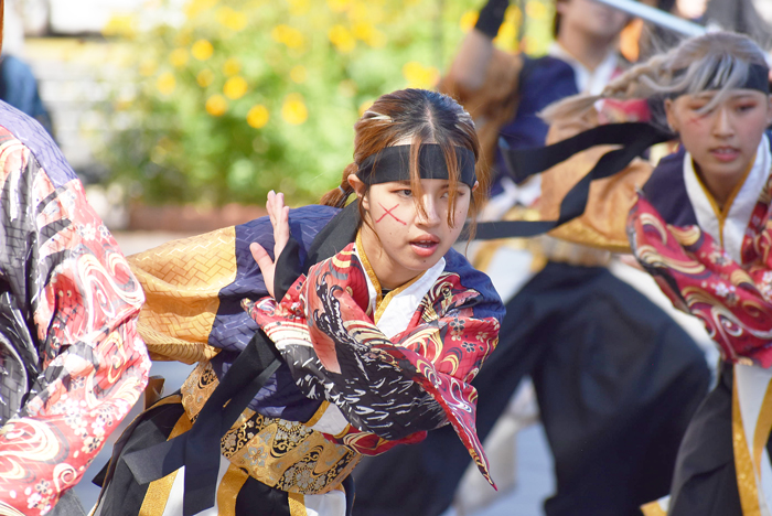 よさこい衣装・祭り衣装　　鹿児島大学よさこいサークル隼人様 