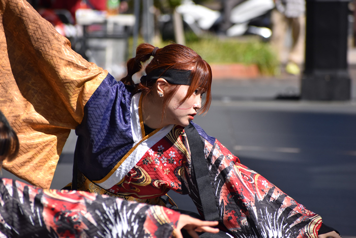 よさこい衣装・祭り衣装　　鹿児島大学よさこいサークル隼人様 