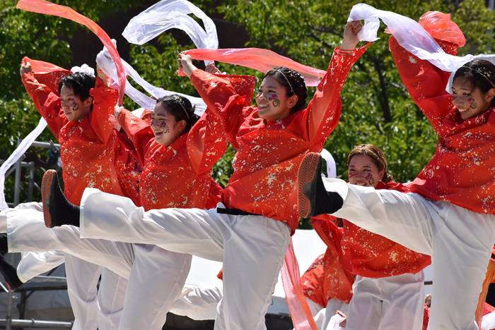 よさこい衣装・祭り衣装　　岡山うらじゃ連四季様 