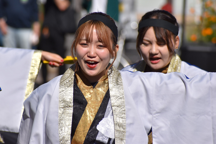 よさこい衣装・祭り衣装　　下関市立大学よさこいダンスサークル震様 