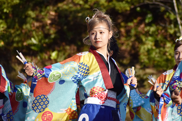 よさこい衣装・祭り衣装　　しんら様 