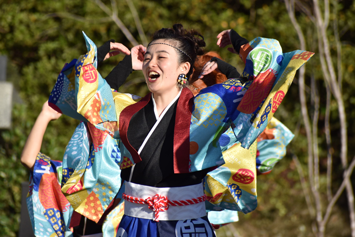 よさこい衣装・祭り衣装　　しんら様 