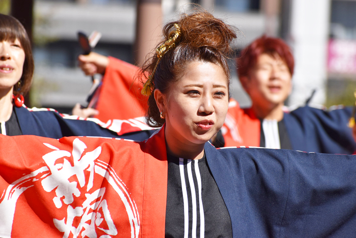 よさこい衣装・祭り衣装　　新煽組様 