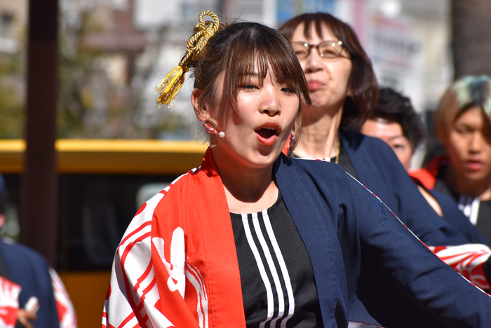 よさこい衣装・祭り衣装　　新煽組様 