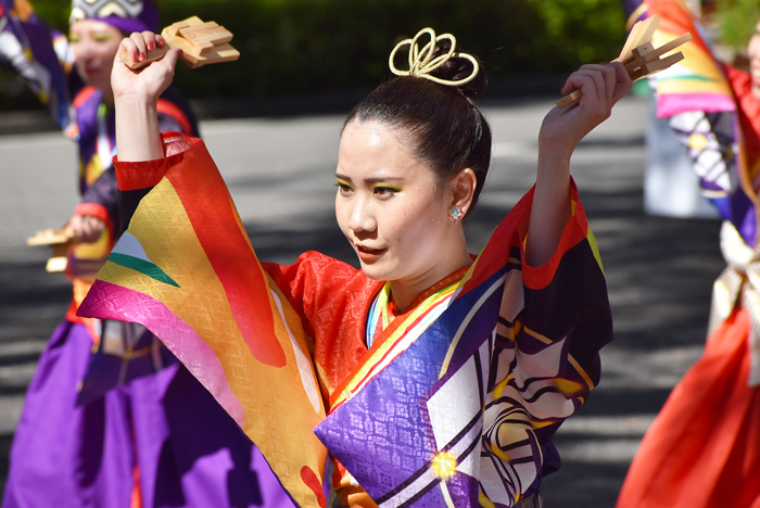 よさこい衣装・祭り衣装　　高松よさこい連様 