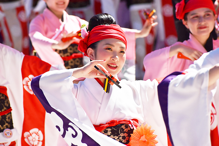 よさこい衣装・祭り衣装　　俵屋グループ様 