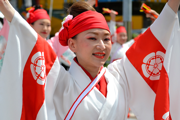 よさこい衣装・祭り衣装　　俵屋グループ様 