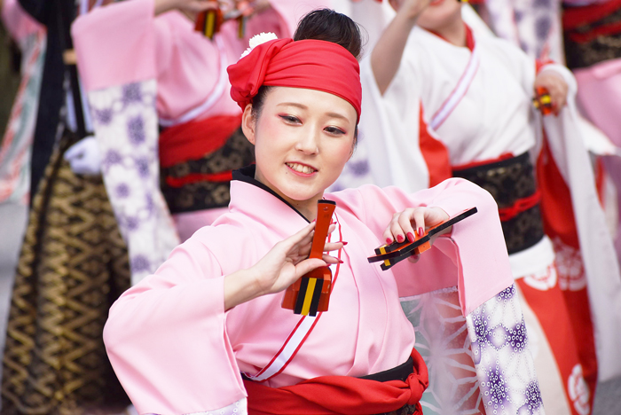 よさこい衣装・祭り衣装　　俵屋グループ様 