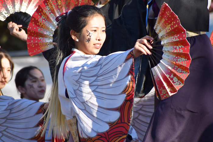 よさこい衣装・祭り衣装　　北九州市立大学よさこいサークル灯炎様 