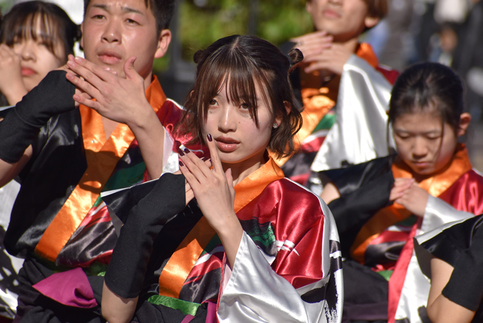 よさこい衣装・祭り衣装　　島根県立大学 よさこい橙蘭様 