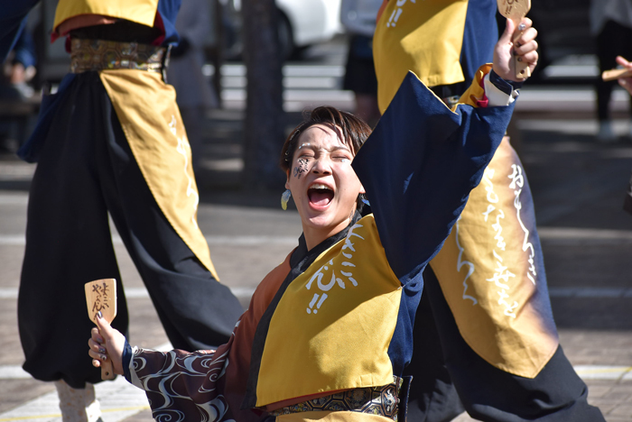 よさこい衣装・祭り衣装　　山口大学よさこいやっさん！！様 