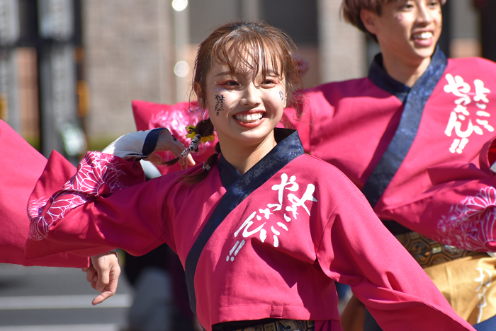 よさこい衣装・祭り衣装　　山口大学よさこいやっさん！！様 