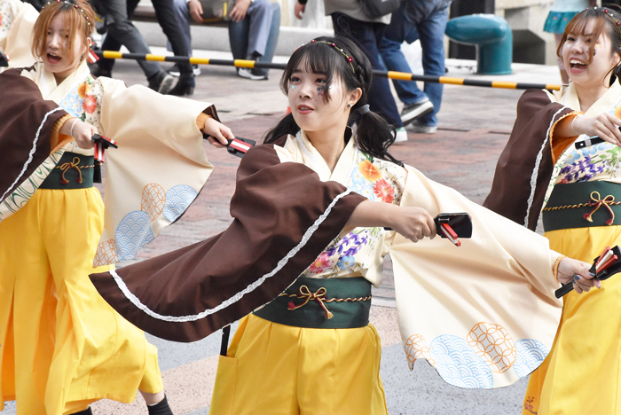 よさこい衣装・祭り衣装　　山口県立大学よさこい部奄美連合萩組様 