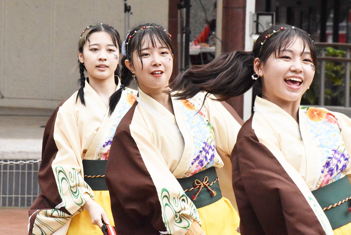 よさこい衣装・祭り衣装　　山口県立大学よさこい部奄美連合萩組様 
