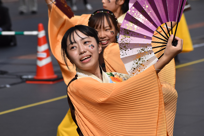 よさこい衣装・祭り衣装　　山口県立大学よさこい部奄美連合萩組様 