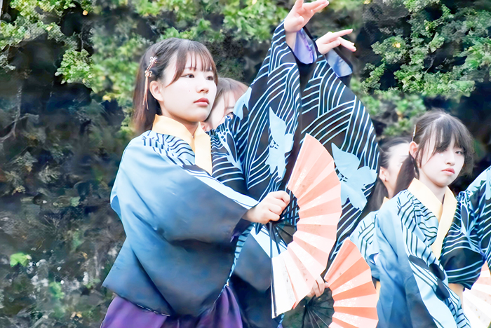 よさこい衣装・祭り衣装　　熊本県立大学一大事様 