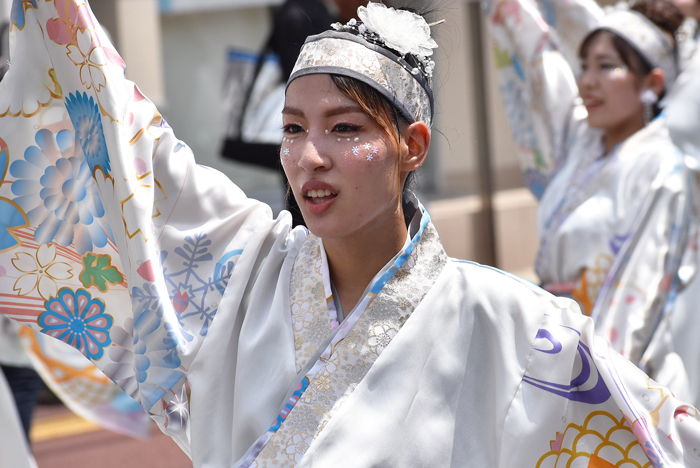 よさこい衣装・祭り衣装　　いちぜん様 