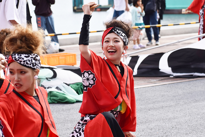 よさこい衣装・祭り衣装　　一喜一遊様 