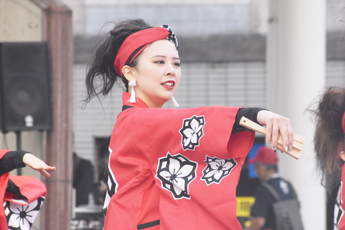 よさこい衣装・祭り衣装　　一喜一遊様 