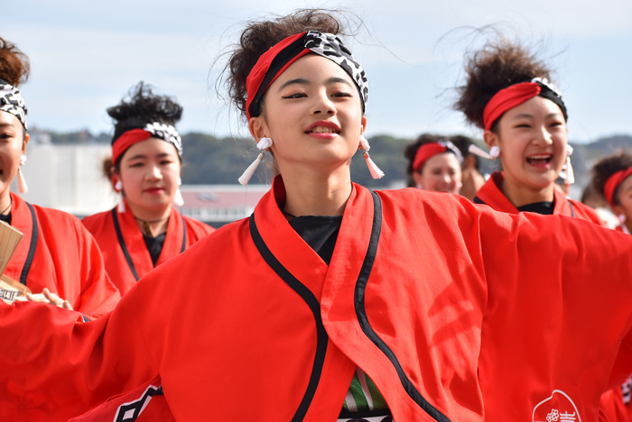 よさこい衣装・祭り衣装　　一喜一遊様 