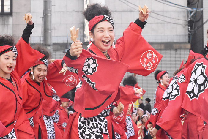 よさこい衣装・祭り衣装　　一喜一遊様 